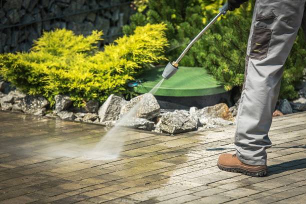 Best Vinyl Siding Pressure Washing in Steamboat Springs, CO